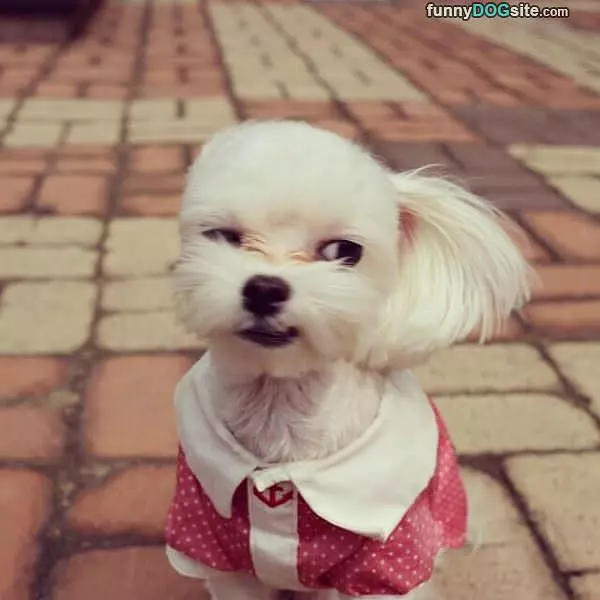 Showing My Tough Face