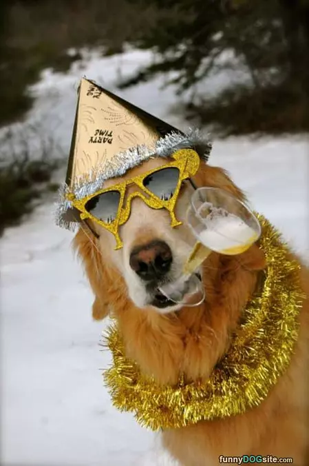 Party Time