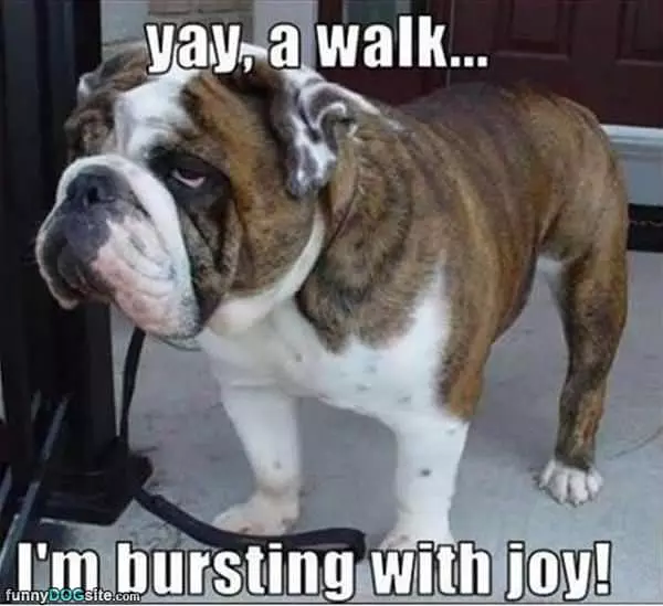 Yay A Walk