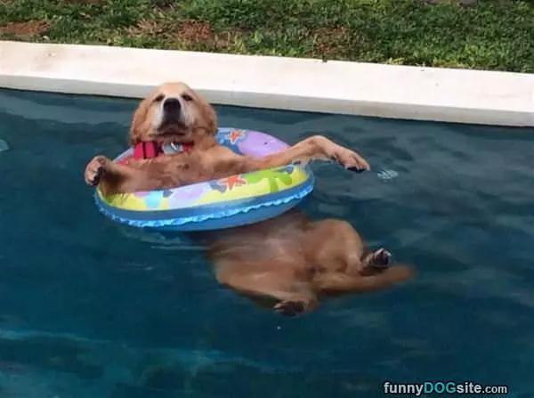 This Is So Relaxing