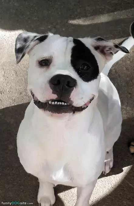 Smile For Photos