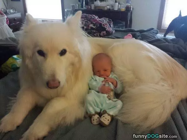 My Warm Fluffy Blanket