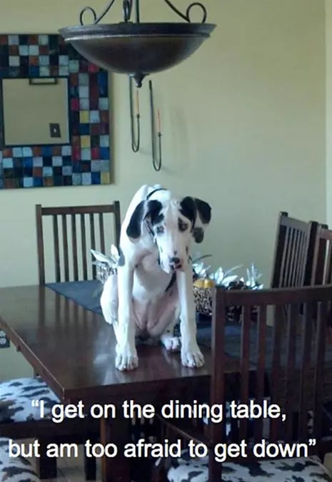 Afraid To Get Down