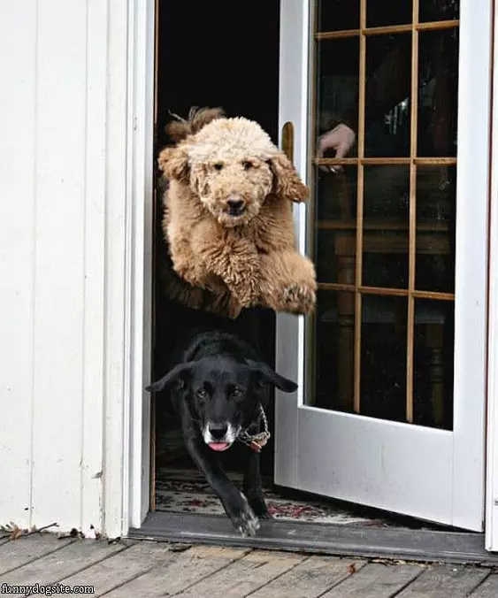 Lets Go Friend