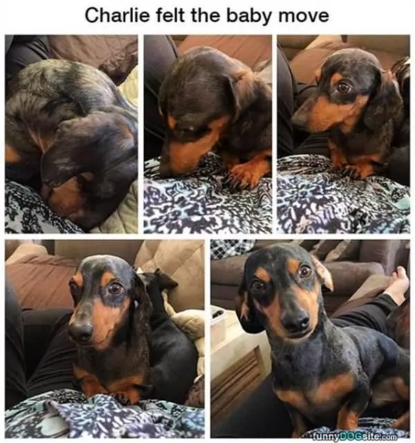 Felt The Baby Move