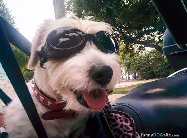 Ready For My Ride