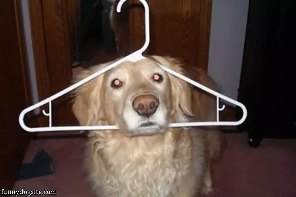Hanger
