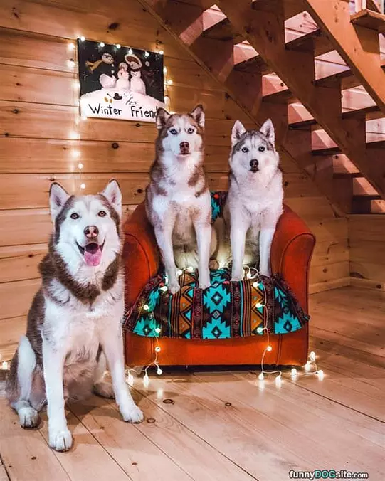 We Love The Winter
