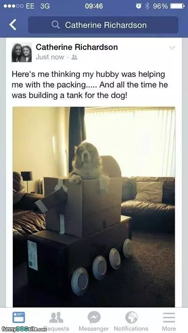 The Dog Tank