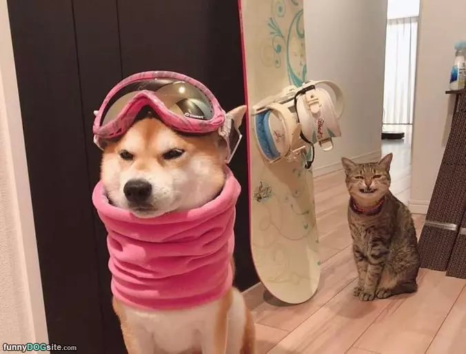 Going Boarding