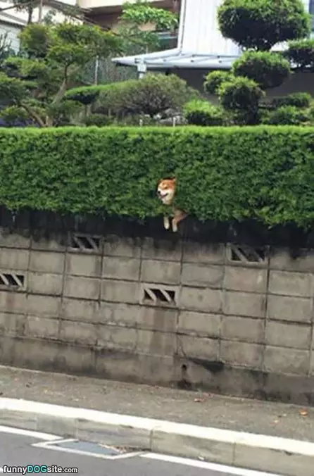 Watching The Road
