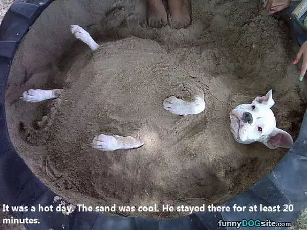 Cooling Off