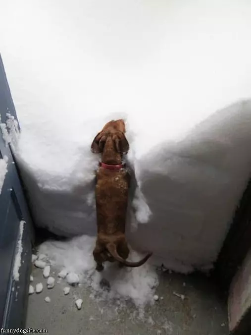 I Cant Get Out