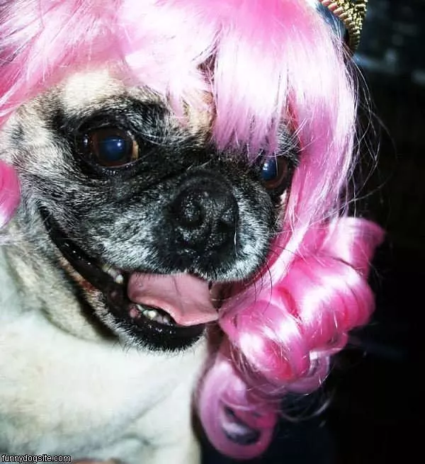 Pink Wig