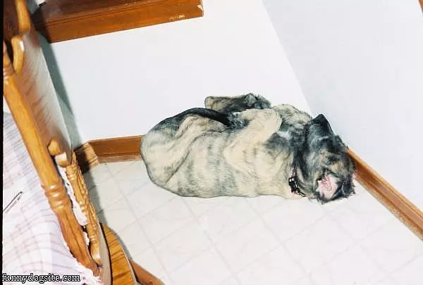 Sleep Where I Want