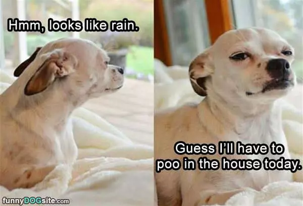 Hmmm Looks Like Rain
