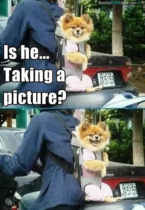 Taking A Picture