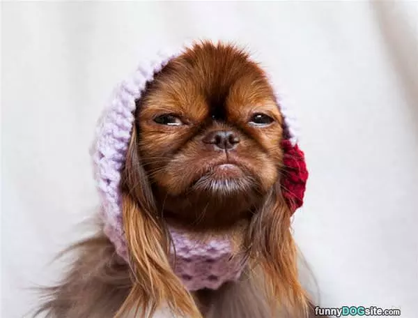 That Cute Face