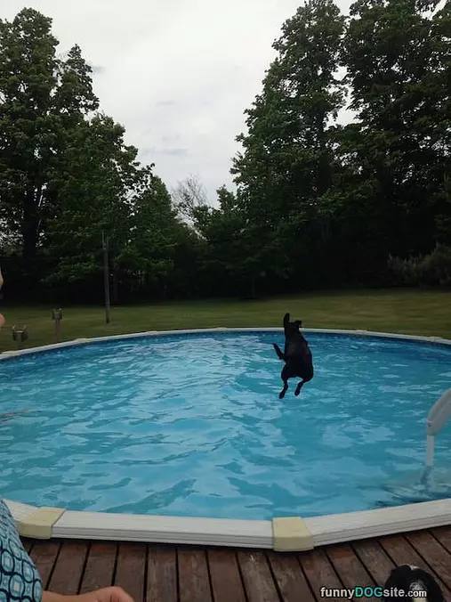 Long Jump[er