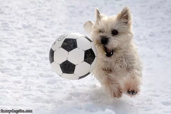 I Want To Play