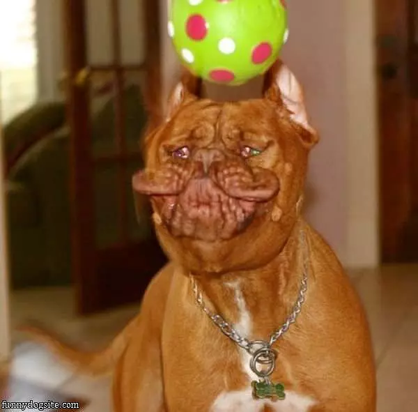 My Ball