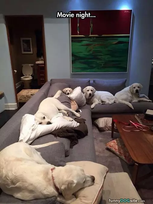 Movie Night