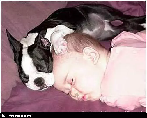 Totally Nap Time