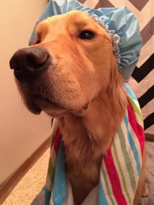 Ready For My Shower