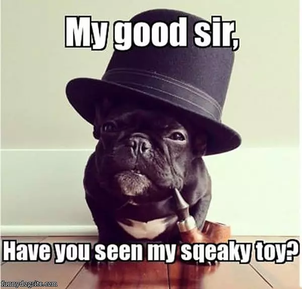 My Good Sir