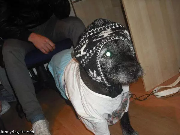Keeping My Head Warm