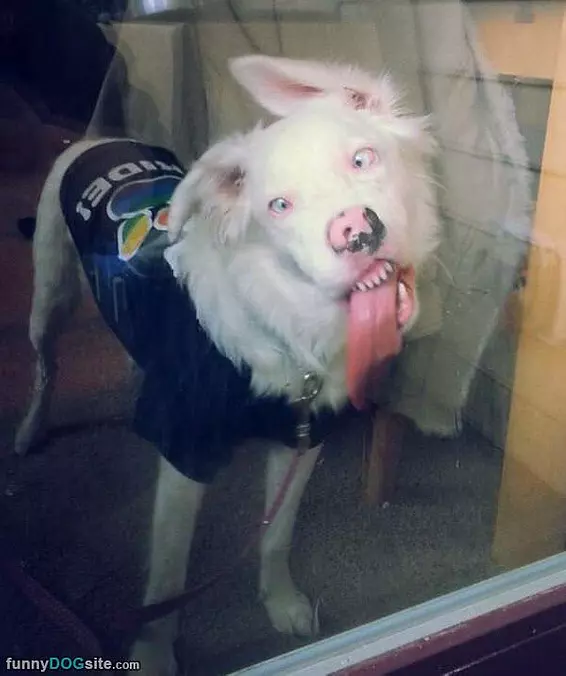 Lickkkk