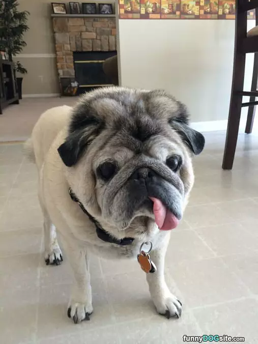 Fun Tongue