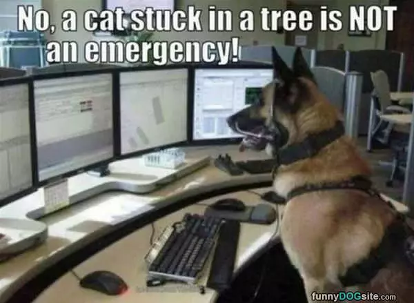 Not An Emergency