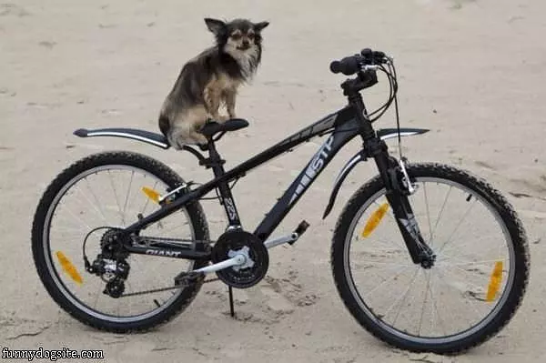 Lets Go For  Ride