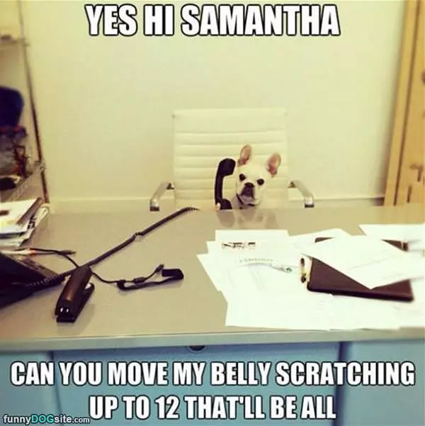 Yes This Is Samantha