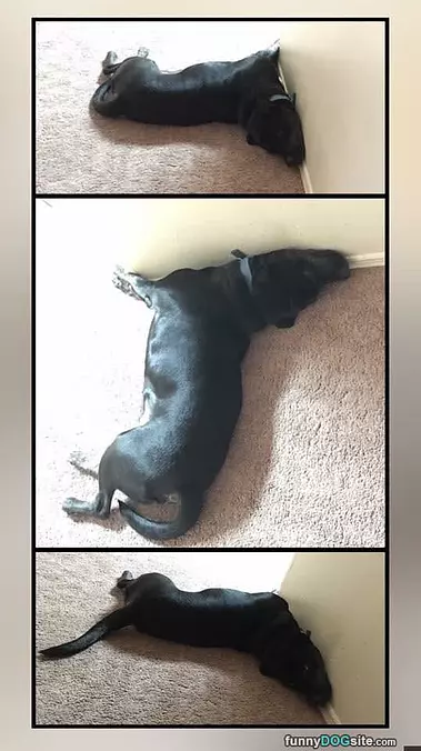 How I Sleeps