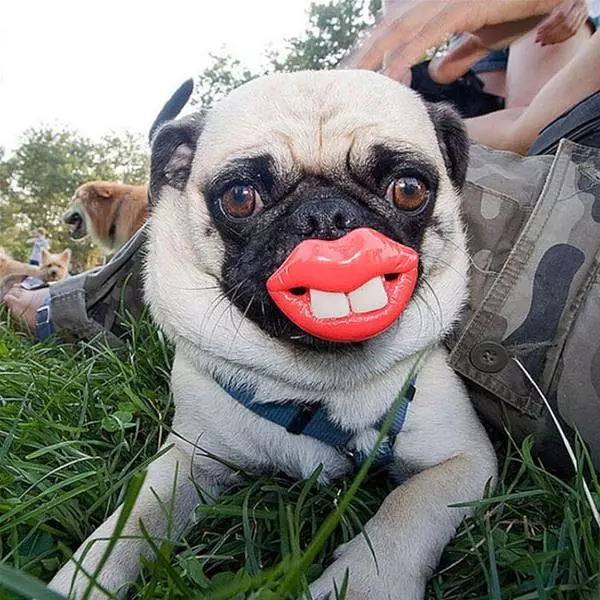 Nice Smile