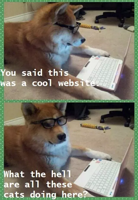 Cool Website