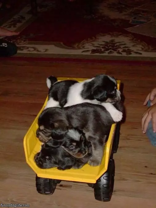 Truck Load