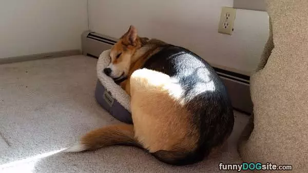 Perfect Size