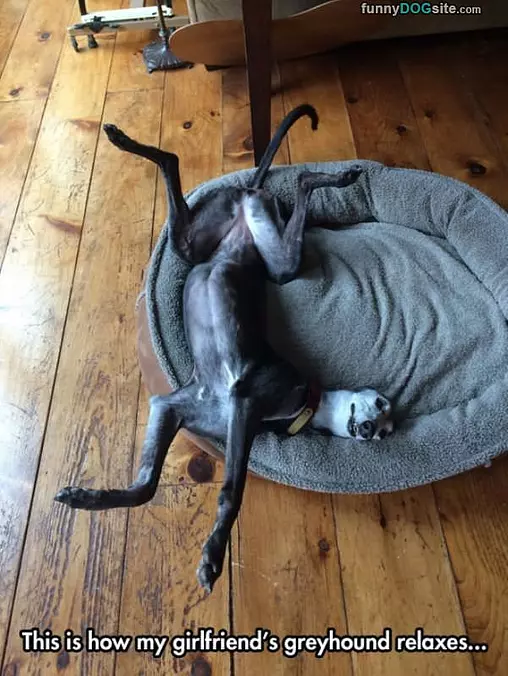 Relaxing A Little