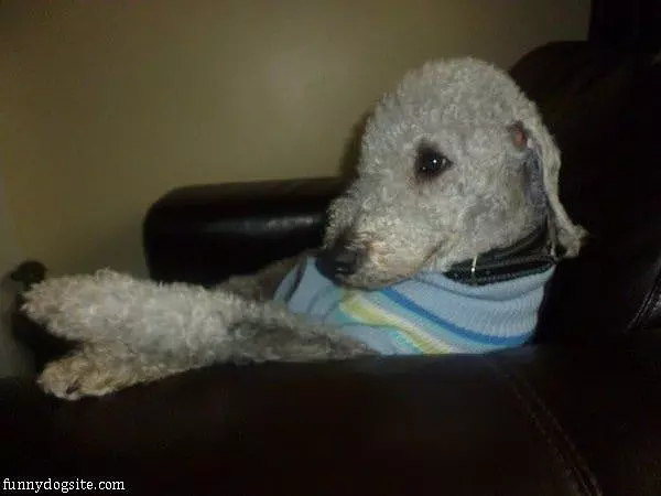 Chillin Watching Some Tv
