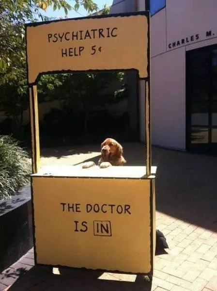 The Doctor Is In