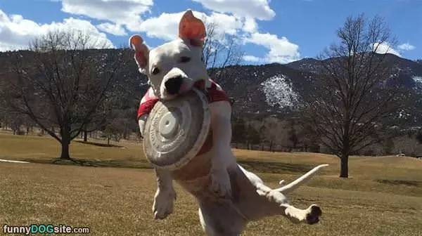 I Can Fly