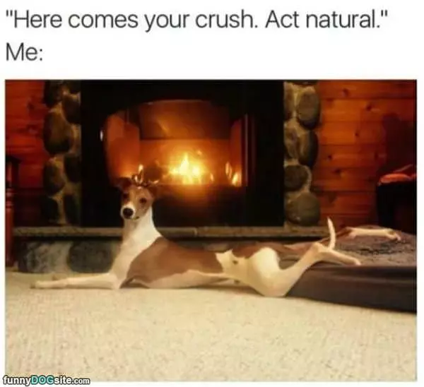 Act Natural