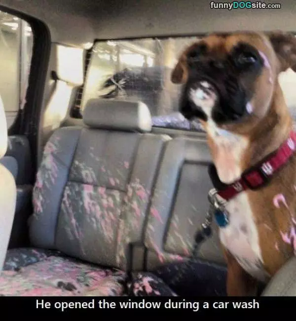 Car Wash Window