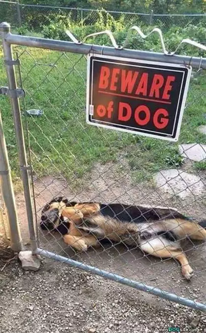 Not Too Worried