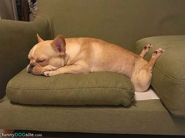 Sit However I Want