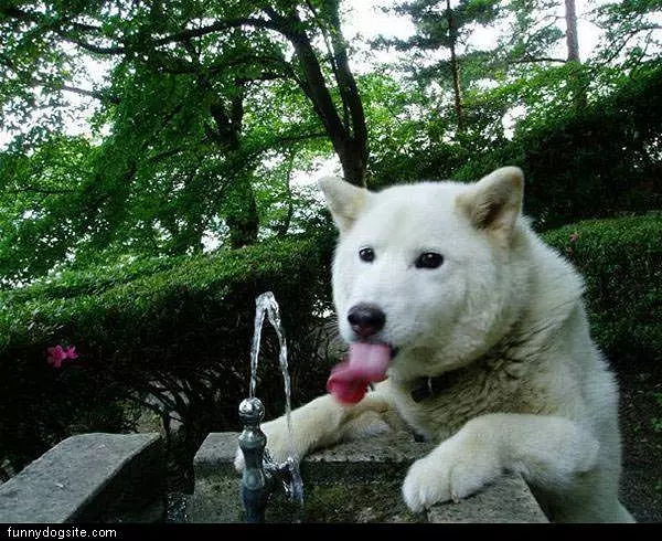 Wants Some Water