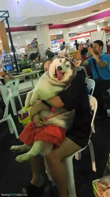 Some Lap Sitting